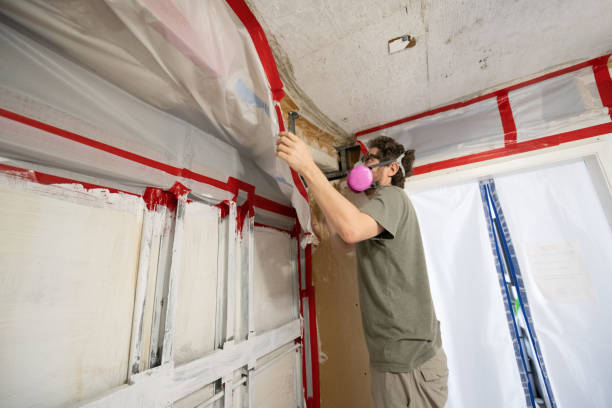Asbestos and Lead Testing During Mold Inspection in Waimanalo Beach, HI