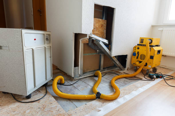 Best Black Mold Removal  in Waimanalo Beach, HI