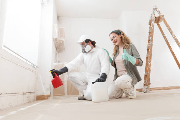 Mold Remediation for Rental Properties in Waimanalo Beach, HI