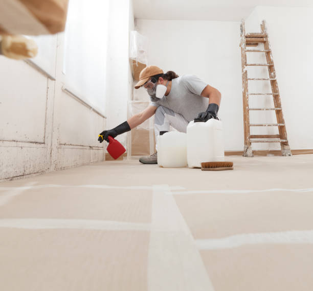 Best Mold Removal for HVAC Installations  in Waimanalo Beach, HI