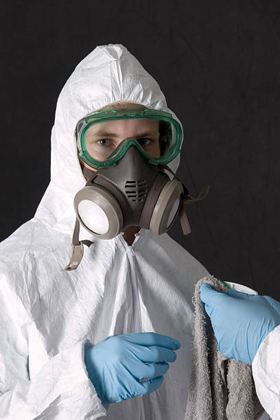 Waimanalo Beach, HI Mold Removal Company